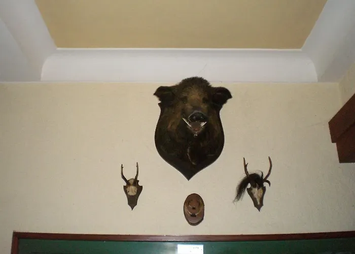 Gasthaus-pension Waldesruhe