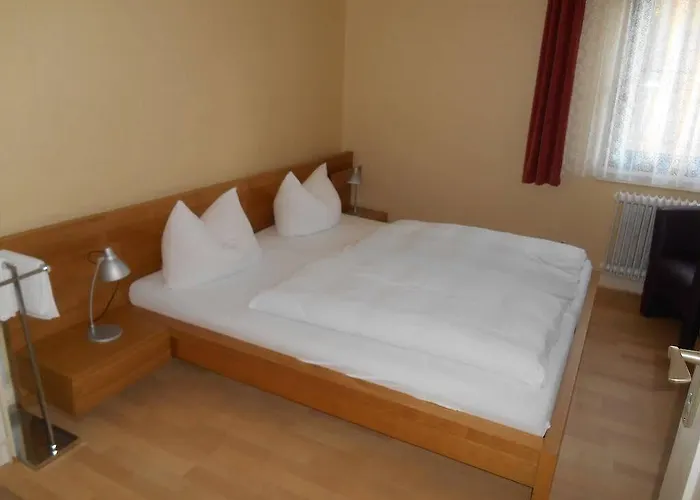 Gasthaus-pension Waldesruhe Pensjonat Schwarzbach (Bad Durkheim)